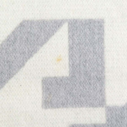 Louis Vuitton Scarf LV Dove Gray Ivory