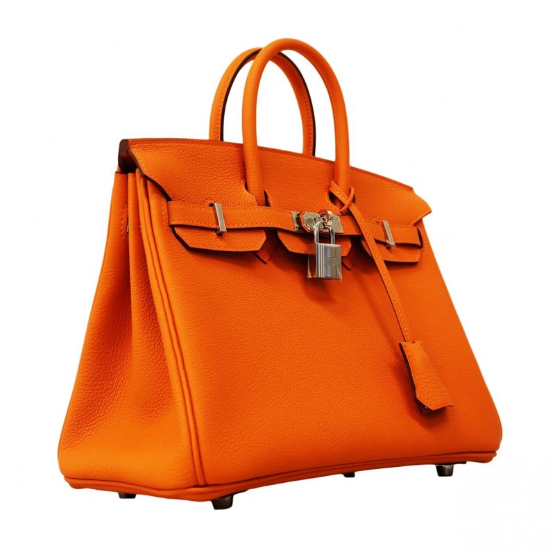 Hermes Handbag Birkin 25 Taurillon Noviyo Orange Silver
