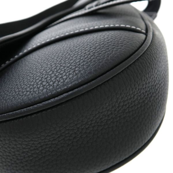 Dior Saddle Bag Peter Doig