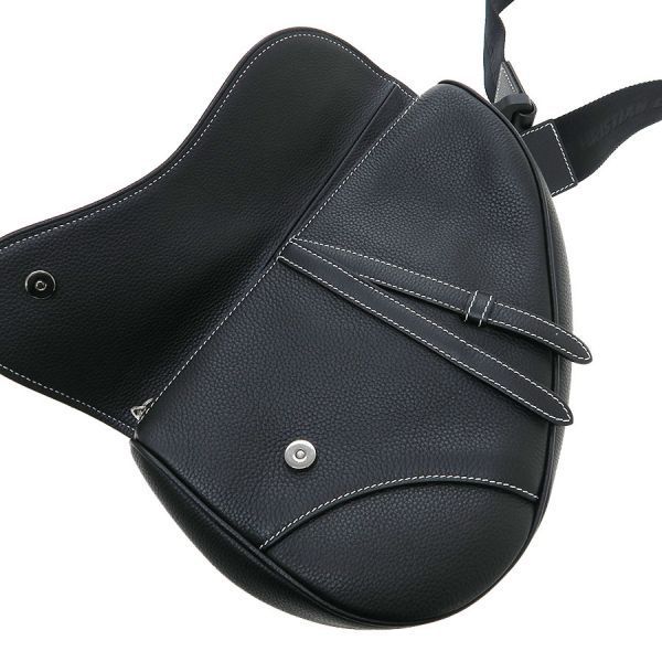 Dior Saddle Bag Peter Doig