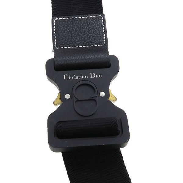 Dior Saddle Bag Peter Doig