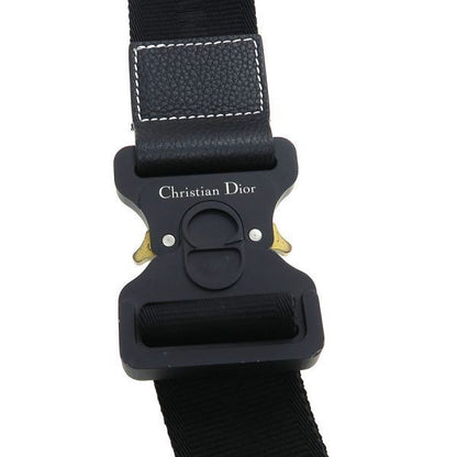 Dior Saddle Bag Peter Doig