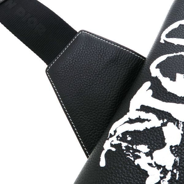 Dior Saddle Bag Peter Doig