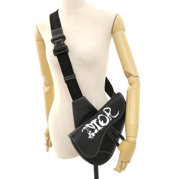 Dior Saddle Bag Peter Doig