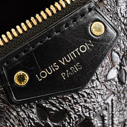 Louis Vuitton Handbag Speedy Trunk 25 Dark Brown Acajou