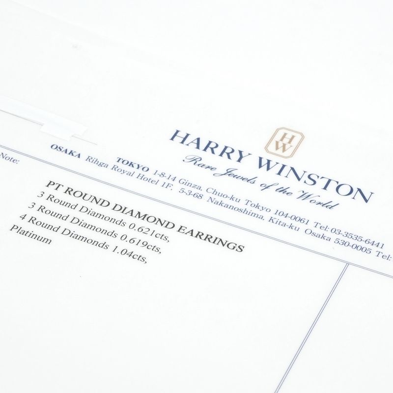 Harry Winston Earrings Platinum