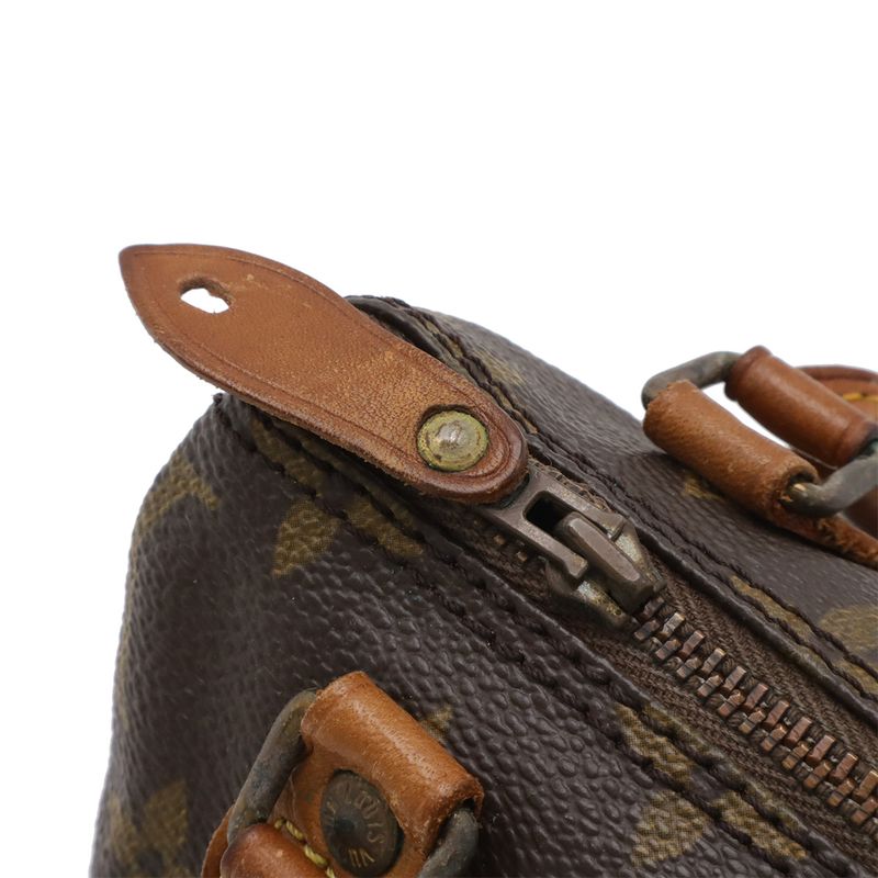 Louis Vuitton Monogram Mini Speedy Bag Pouch Case