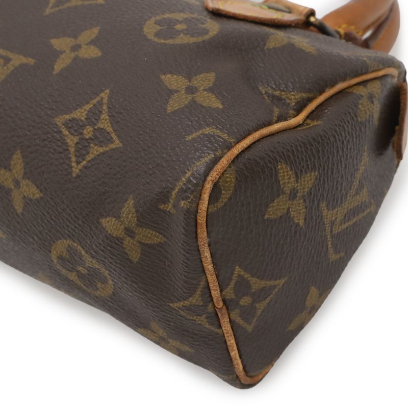 Louis Vuitton Monogram Mini Speedy Bag Pouch Case