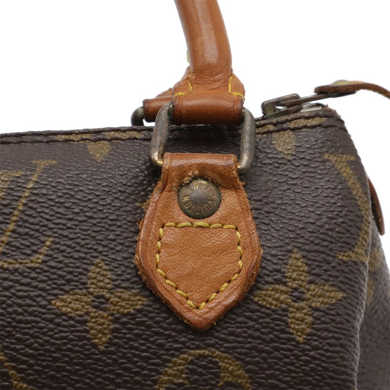Louis Vuitton Monogram Mini Speedy Bag Pouch Case