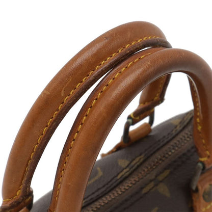 Louis Vuitton Monogram Mini Speedy Bag Pouch Case
