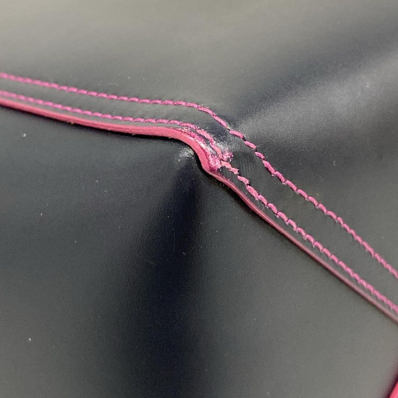 Loewe Tote Leo Navy Leather X Pink