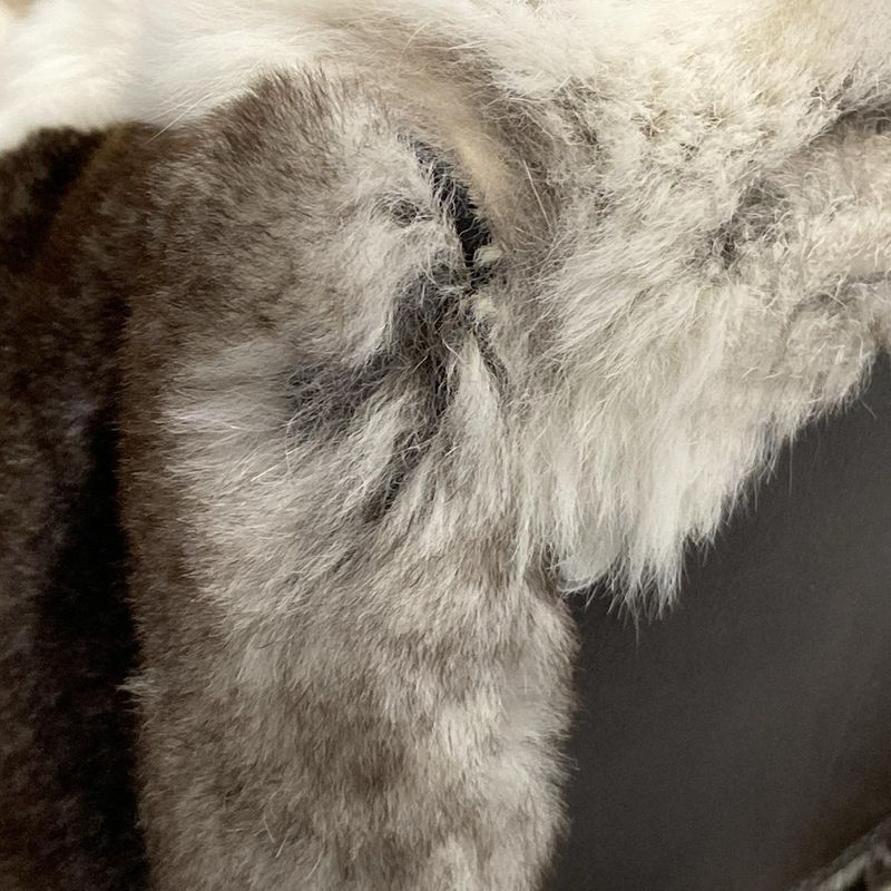 Cartier Handbag Marcello Dark Brown White Leather Fur
