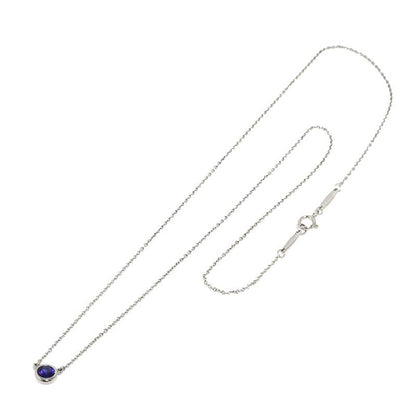 Tiffany & Co by the Yard Saffiano Necklace Pt Platinum