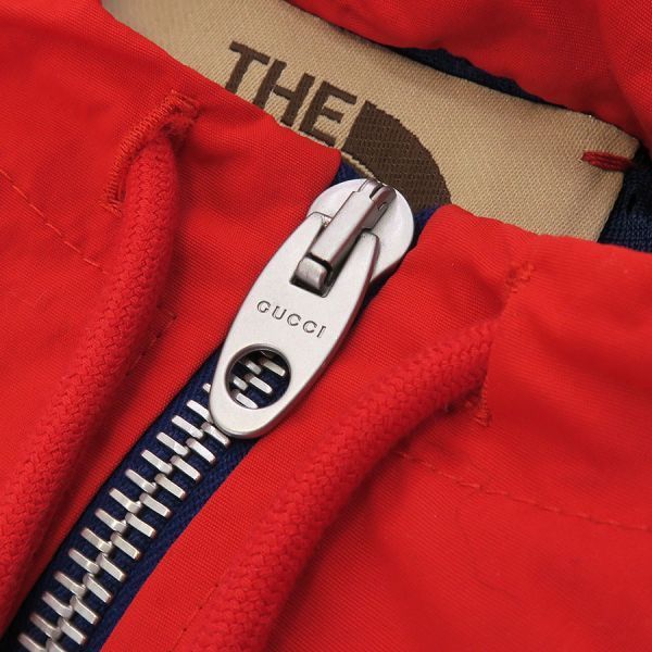 Gucci North Face Hoodie