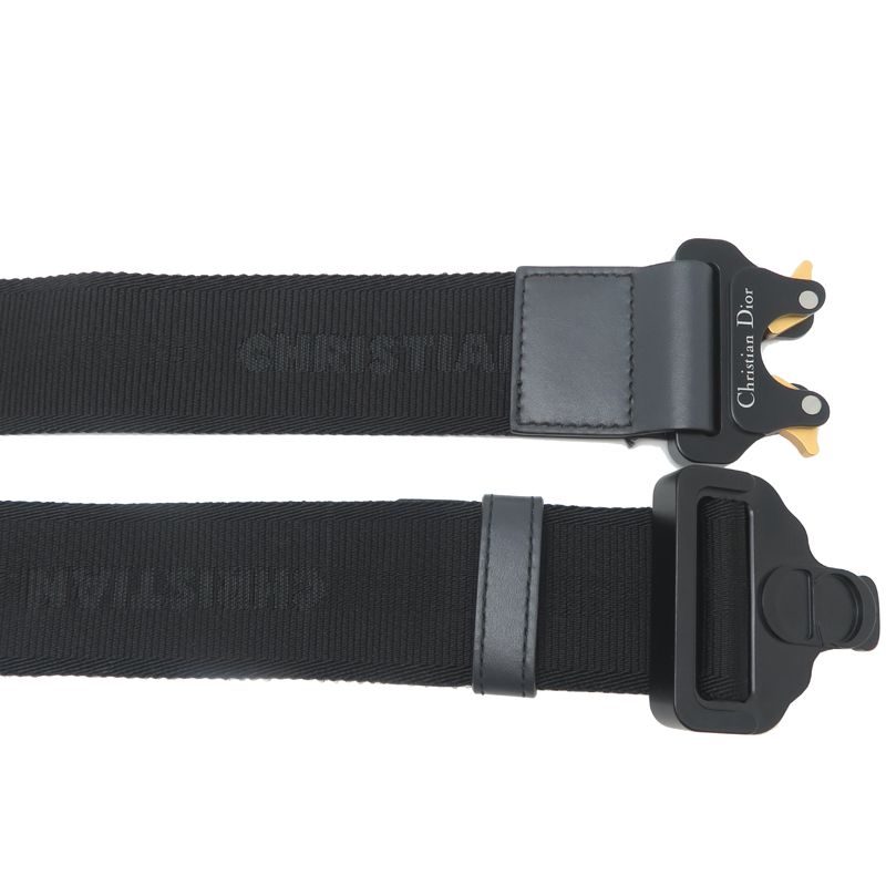 Dior Belt Bag