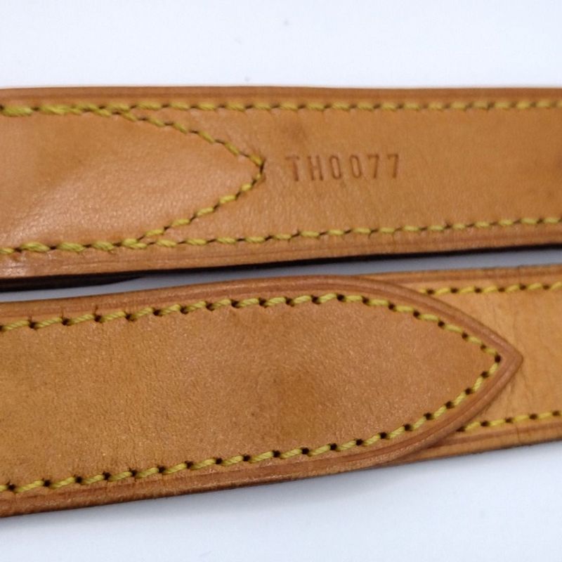 Louis Vuitton Shoulder Strap Leather Baggi Long