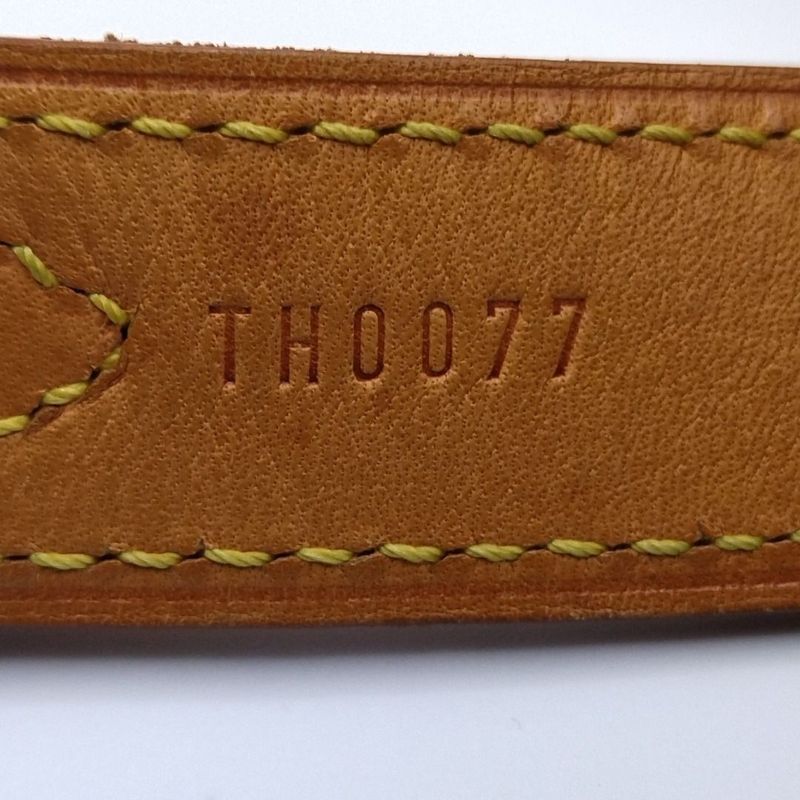Louis Vuitton Shoulder Strap Leather Baggi Long