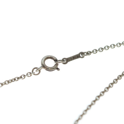 Tiffany & Co Apple Chain Pendant Necklace 925 Sterling Silver
