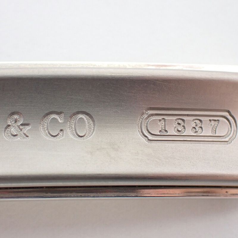 Tiffany & Co 925 Titanium Bar Necklace