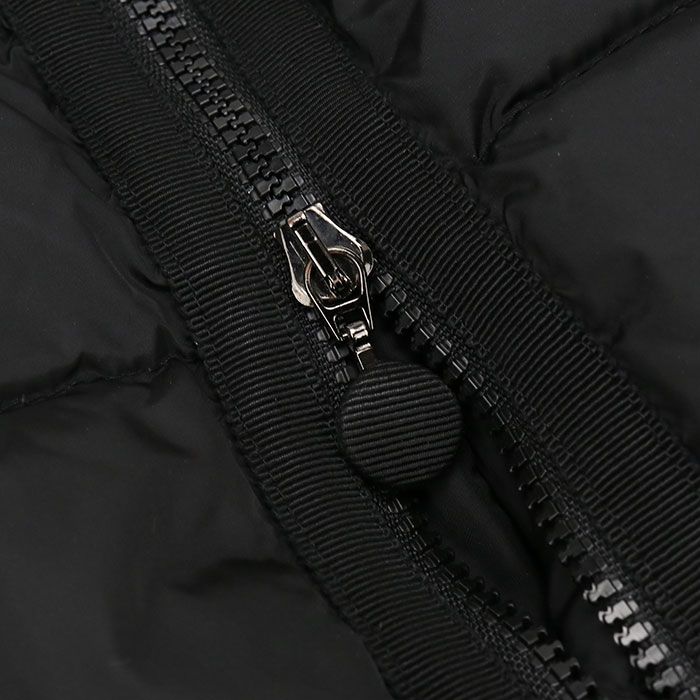 Moncler Anserine Down Jacket