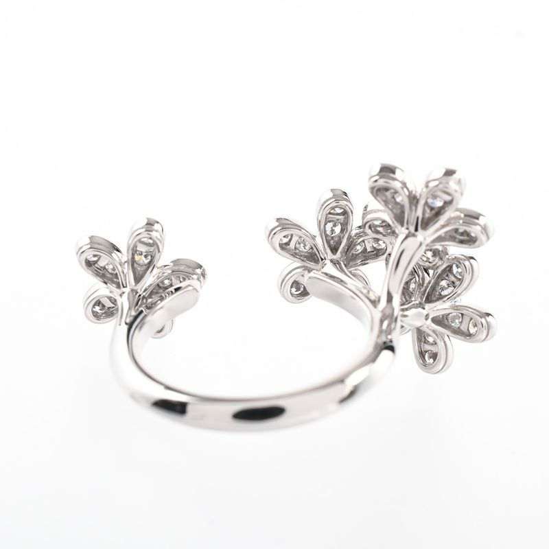 Van Cleef & Arpels Ring Socrates Entre les Doors