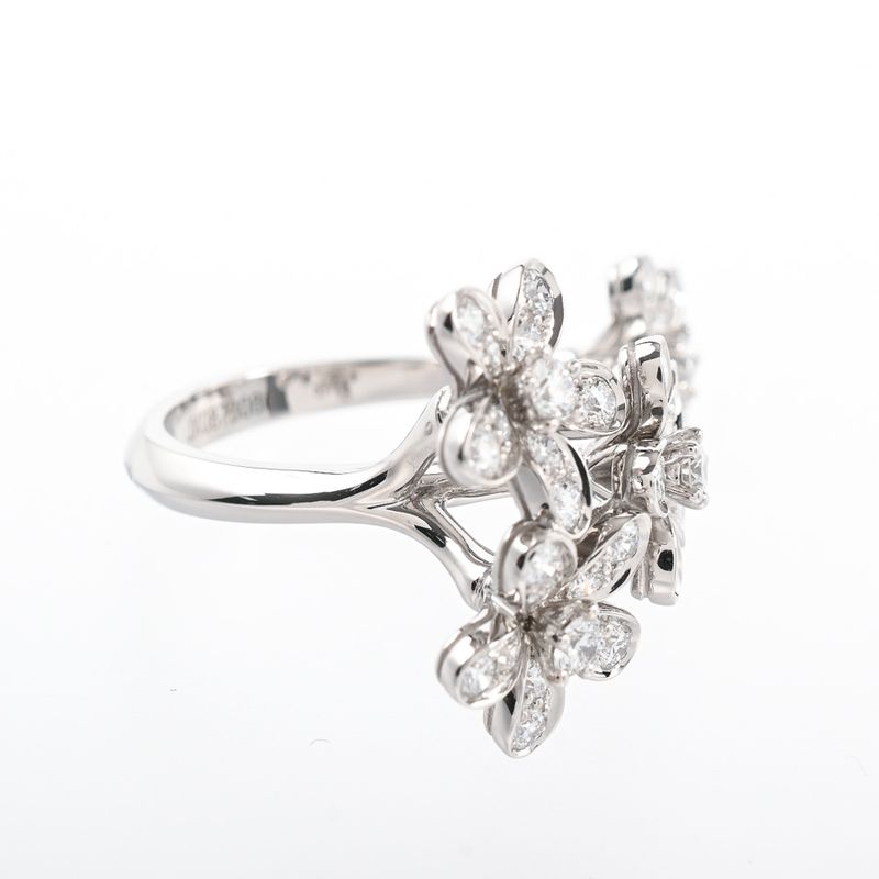 Van Cleef & Arpels Ring Socrates Entre les Doors