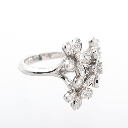 Van Cleef & Arpels Ring Socrates Entre les Doors