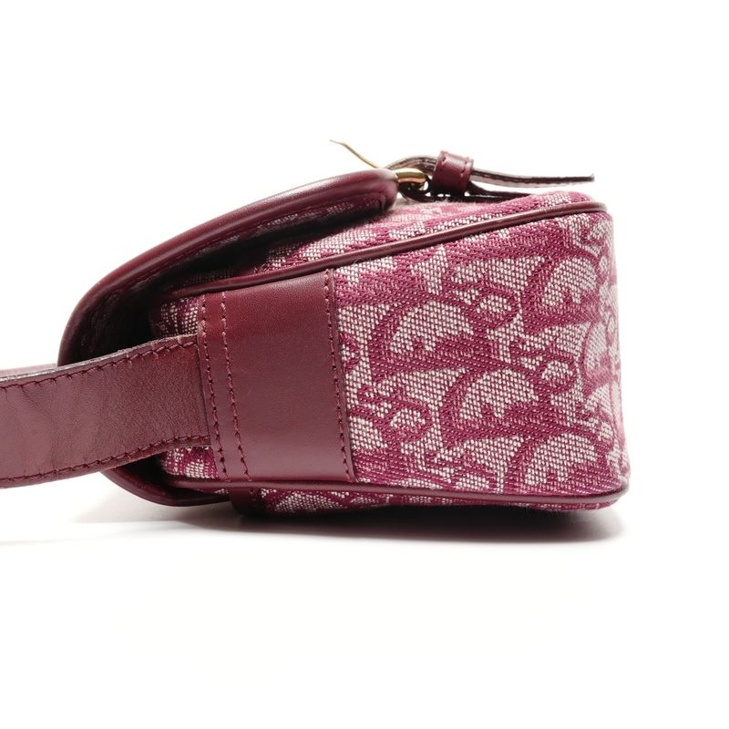 Dior Shoulder Bag Trotter Canvas Messenger