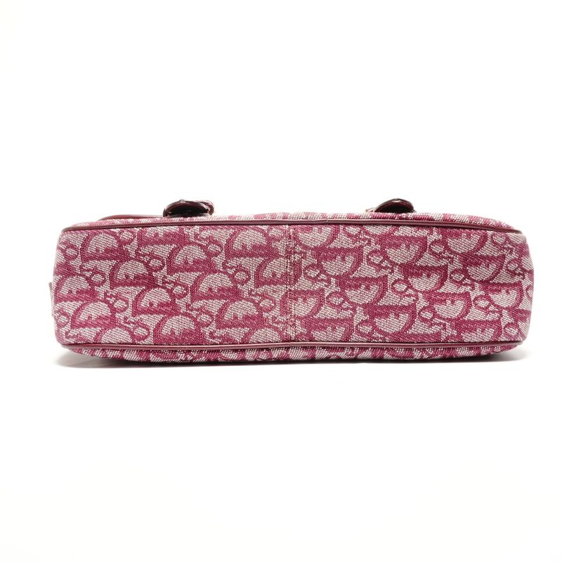 Dior Shoulder Bag Trotter Canvas Messenger