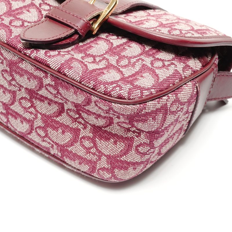 Dior Shoulder Bag Trotter Canvas Messenger
