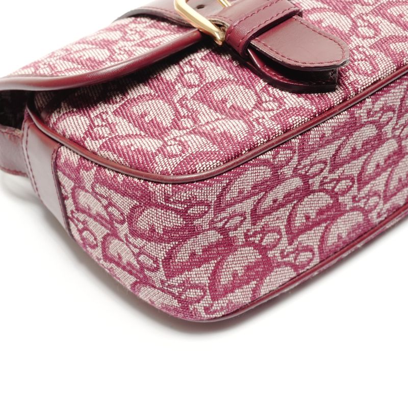 Dior Shoulder Bag Trotter Canvas Messenger