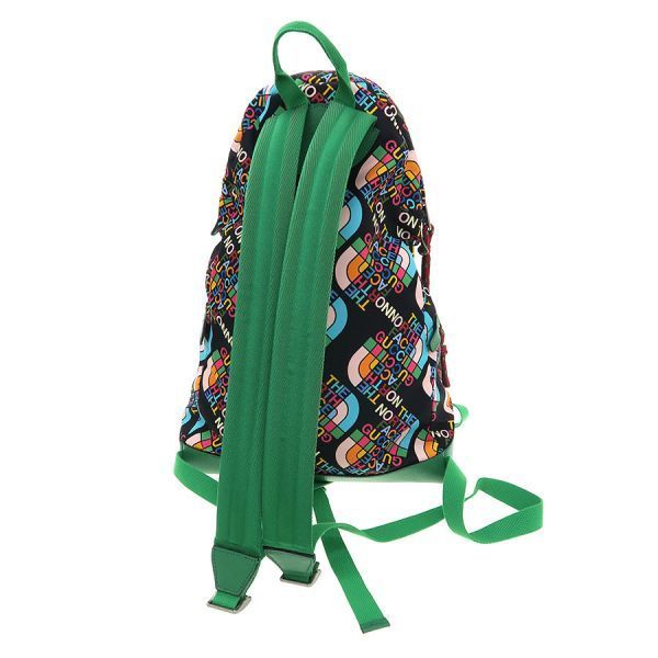 Gucci North Face Backpack