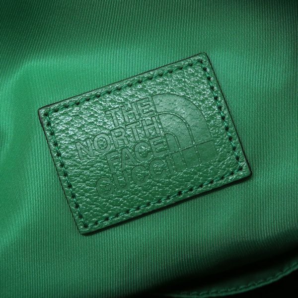 Gucci North Face Backpack