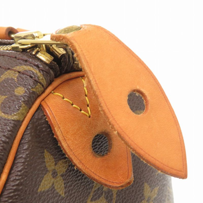 Louis Vuitton Speedy 25 Monogram Handbag