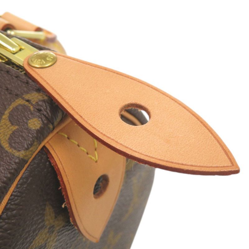 Louis Vuitton Speedy 25 Monogram Handbag