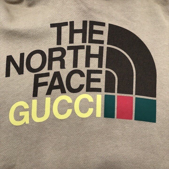 Gucci the North Face Collaboration Collection Pullover Hoodie Brown