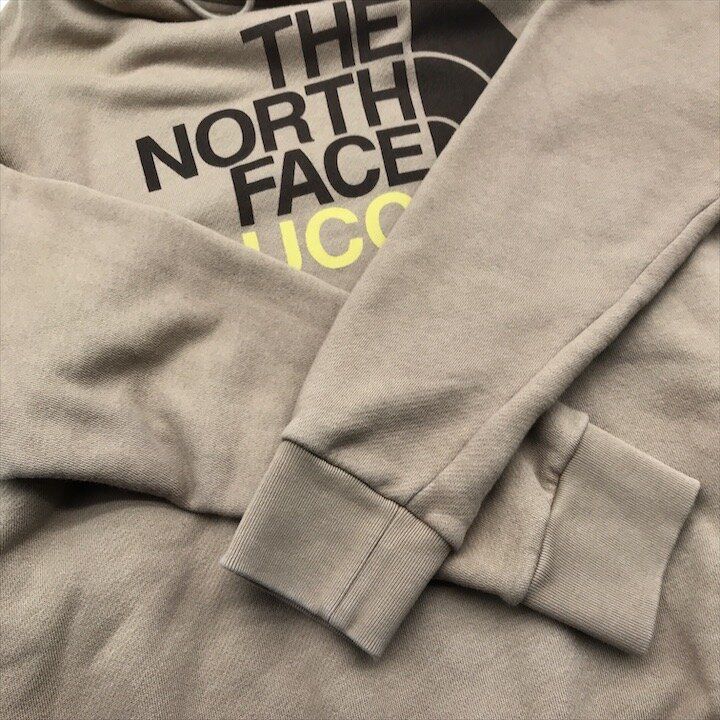 Gucci the North Face Collaboration Collection Pullover Hoodie Brown