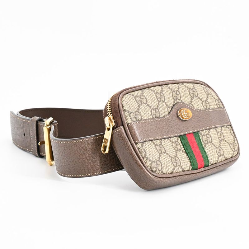 Gucci Belt Bag Ophidia Pouch
