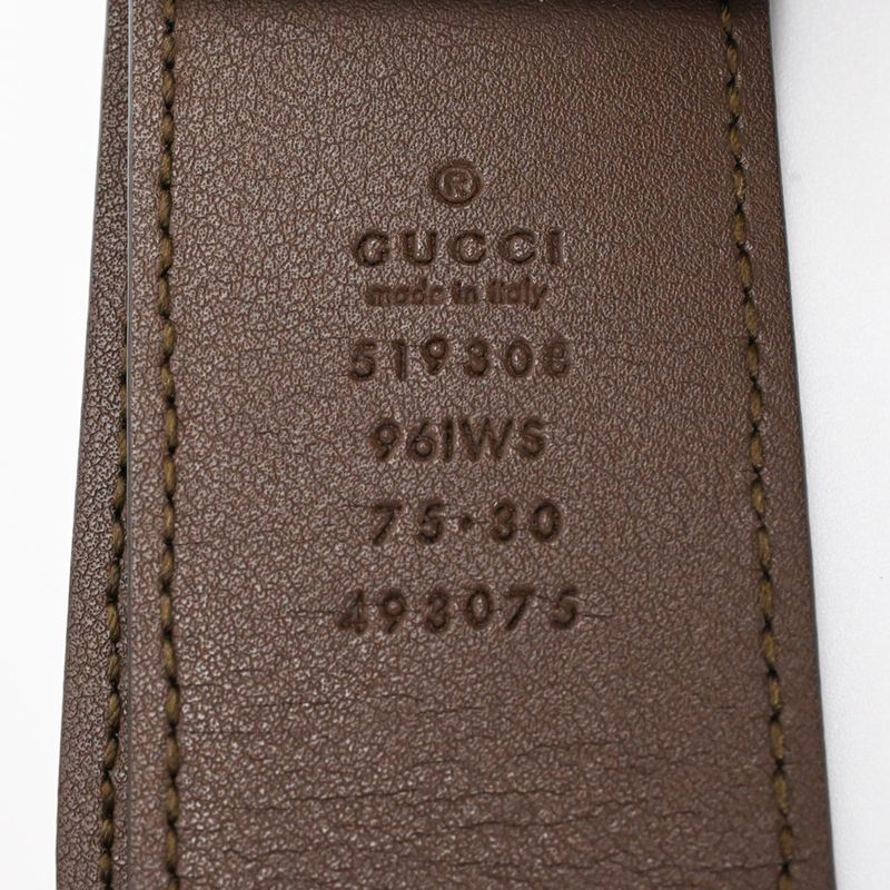 Gucci Belt Bag Ophidia Pouch