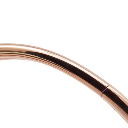 Cartier Bracelet Juste Un Clou Double Classic