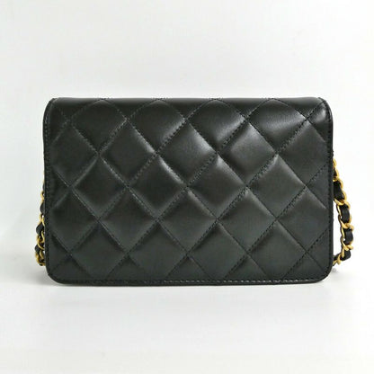 Chanel Evening Quilted Chain Shoulder Bag Cruise Collection