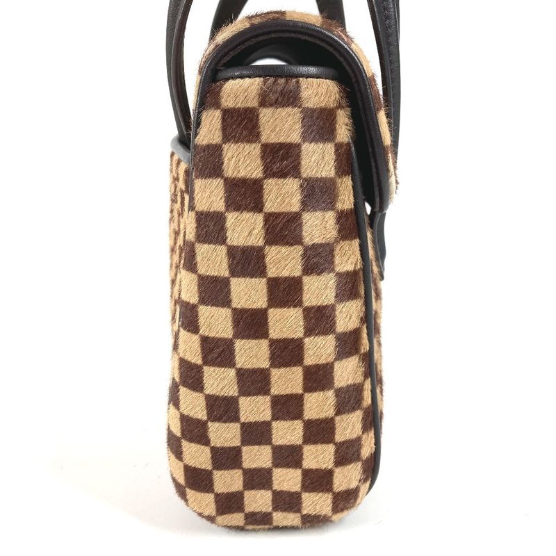 Louis Vuitton Handbag Lion Calf Hair Brown