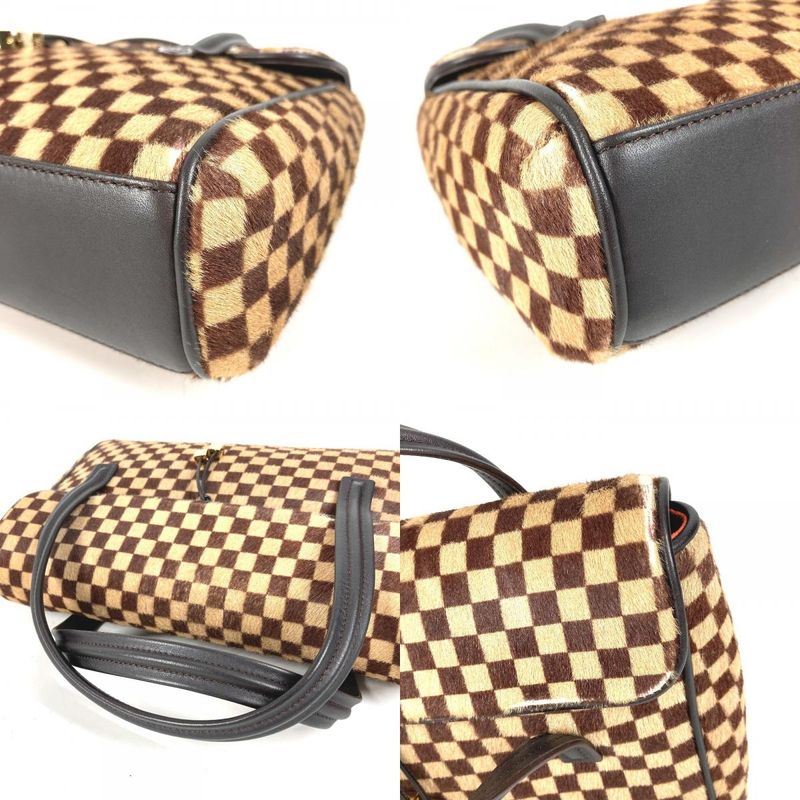 Louis Vuitton Handbag Lion Calf Hair Brown