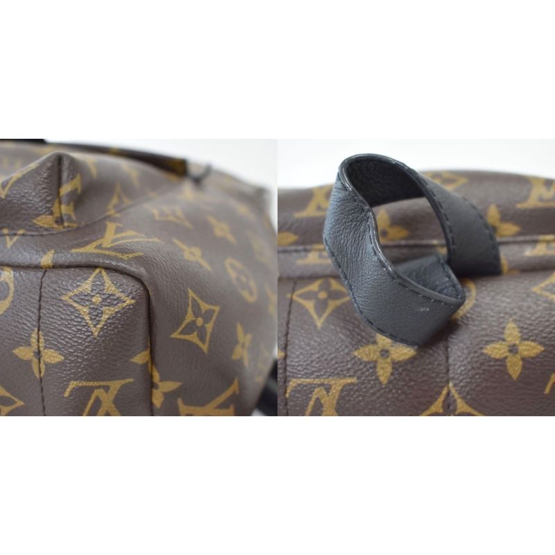 Louis Vuitton Palm Springs Backpack PM Monogram Brown