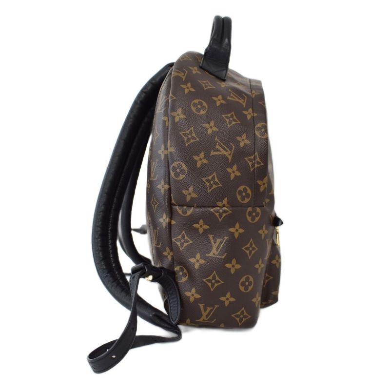 Louis Vuitton Palm Springs Backpack PM Monogram Brown
