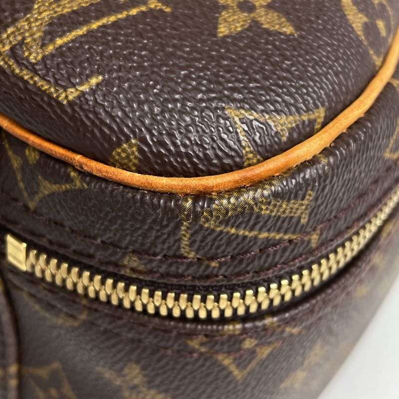 Louis Vuitton Excursion Shoes Case Handbag Monogram Brown