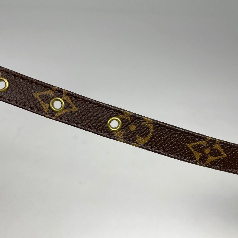 Louis Vuitton Amazon Shoulder Bag Monogram Brown