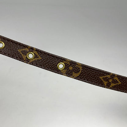 Louis Vuitton Amazon Shoulder Bag Monogram Brown