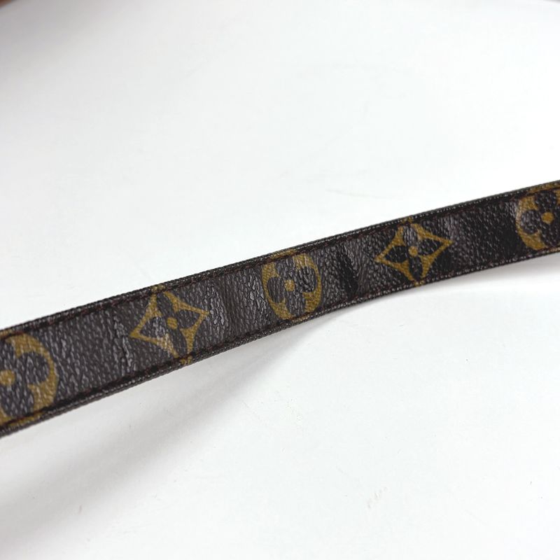 Louis Vuitton Nile Shoulder Bag Monogram Brown
