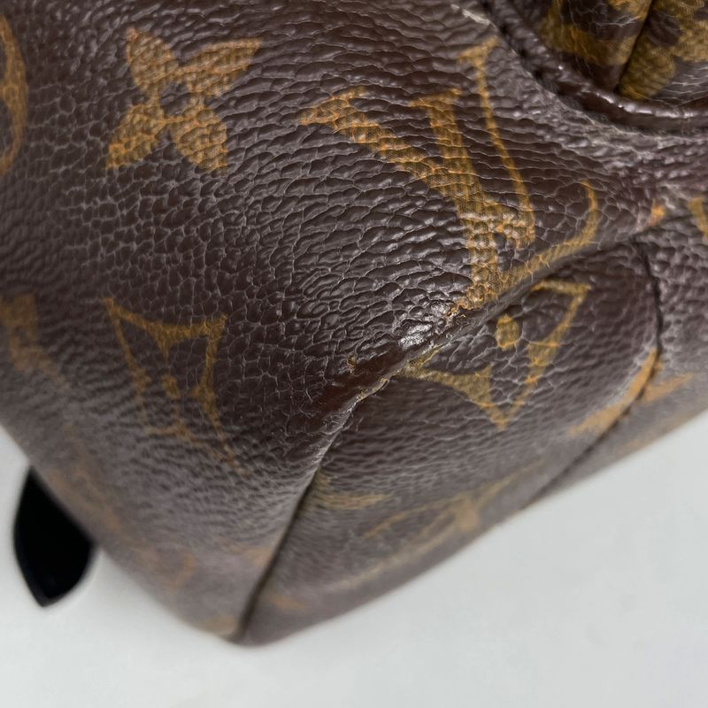 Louis Vuitton Palm Spring Backpack MM Monogram Brown